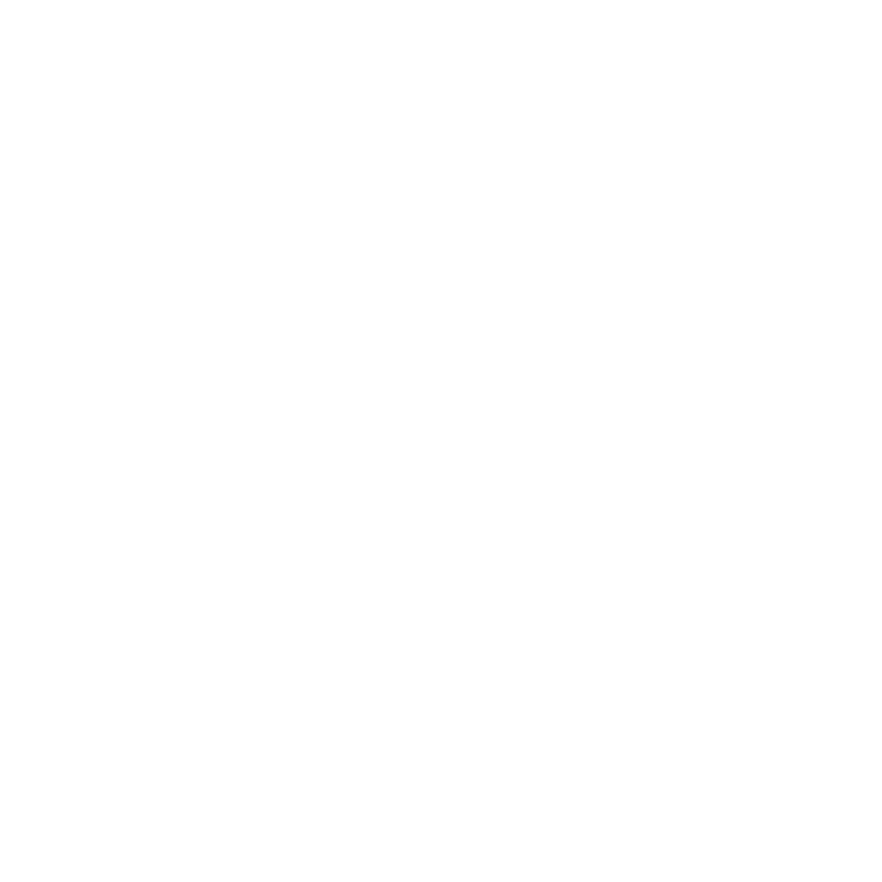 Cyberfrog Systems Logo
